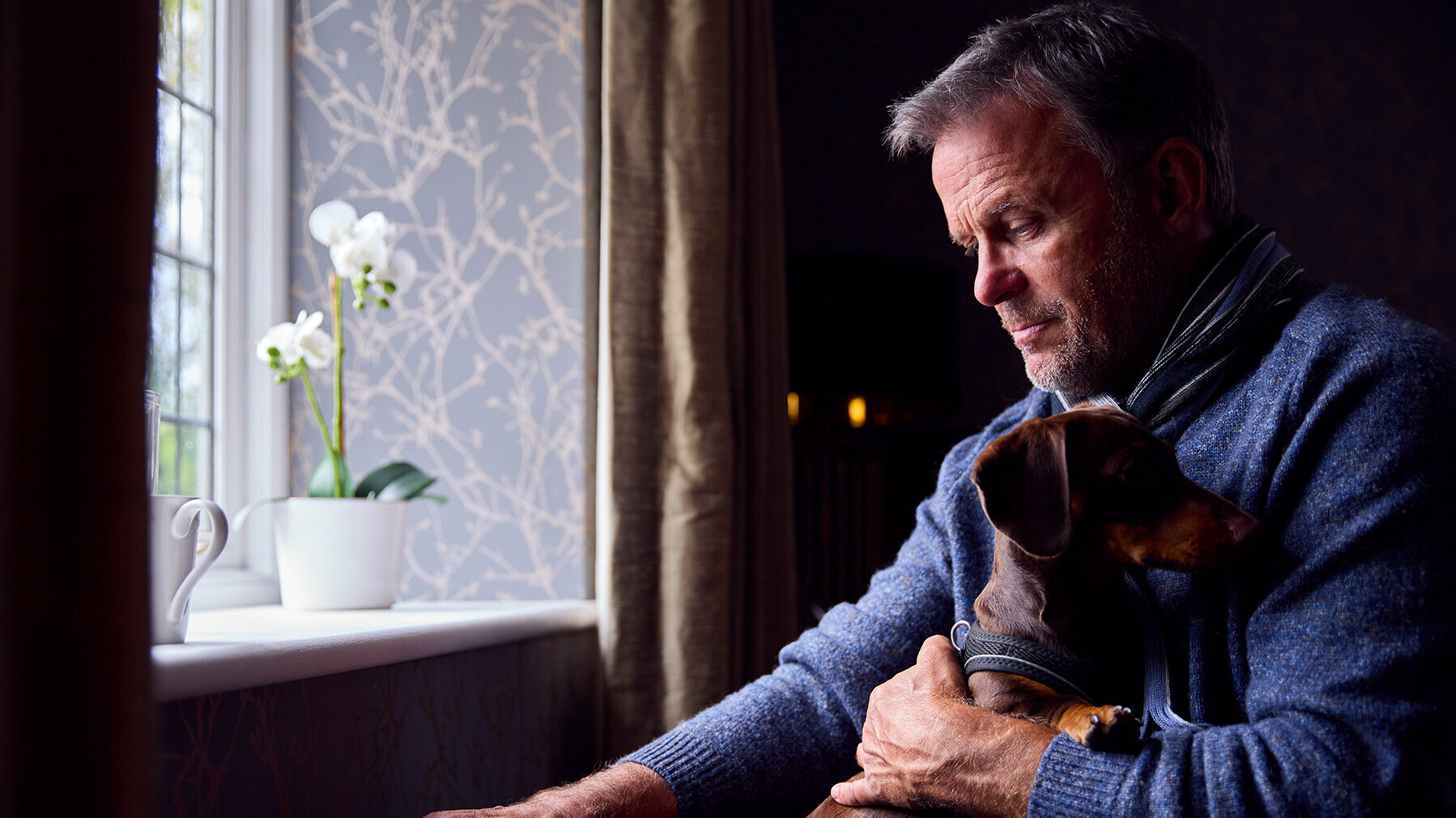 Tierkrankenversicherung zahlt nicht Mann mit Hund auf dem Arm steht am Fenster