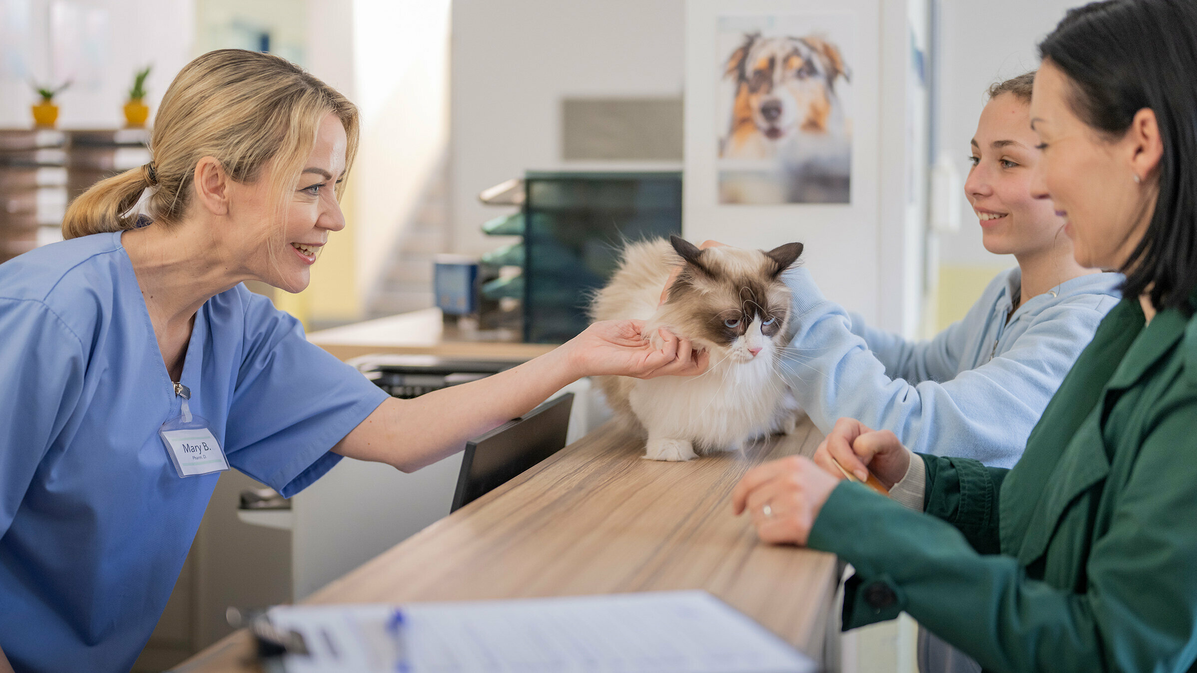 Neue Gebührenordnung für Tierärzte Mutter und Tocher sind mit ihrer Katze beim Tierarzt